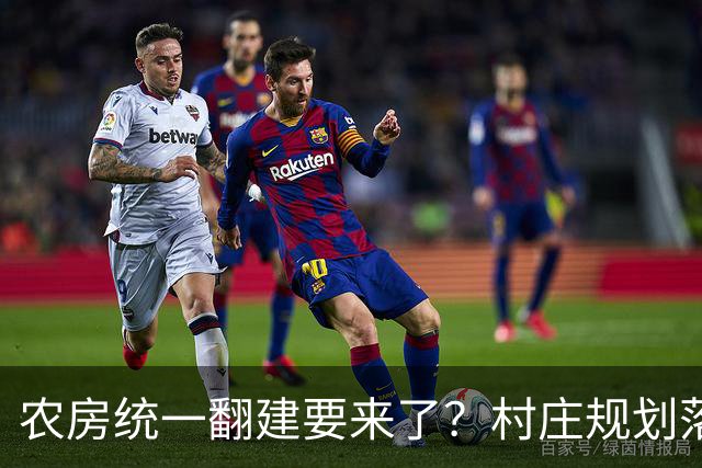 农房统一翻建要来了？村庄规划落地，这些地方下半年优先动工